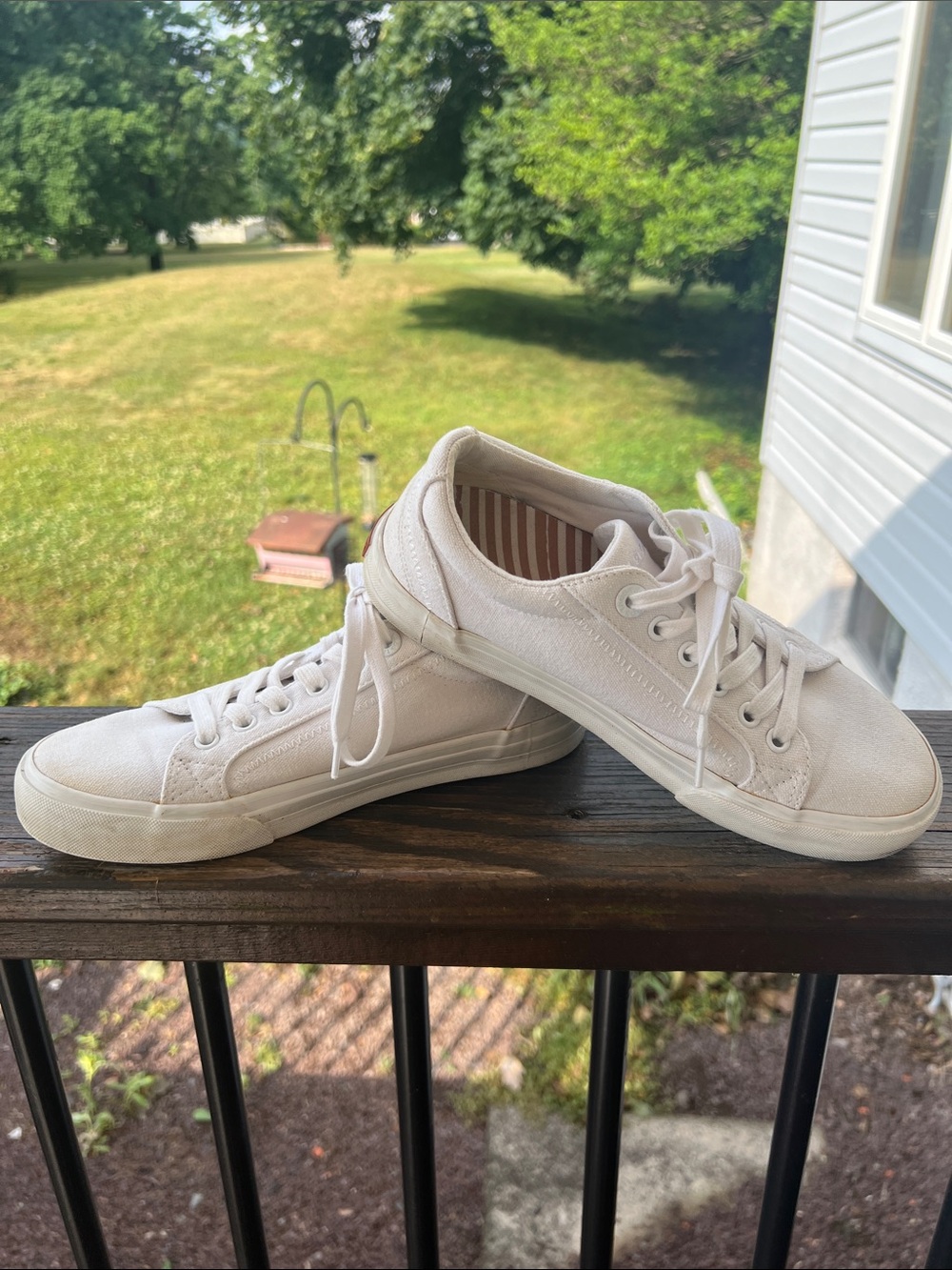 Taos white canvas sneakers 
Size 7